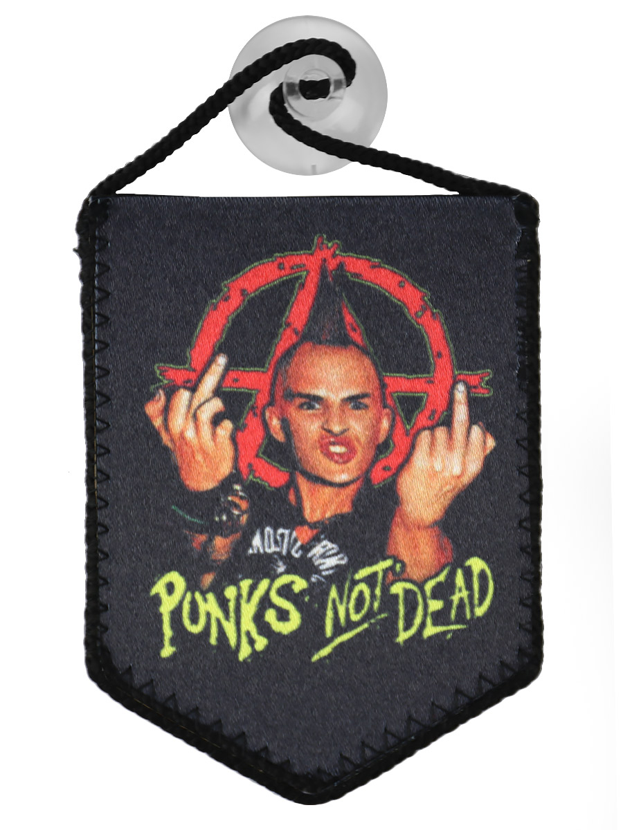 Вымпел Punks Not Dead - фото 1 - rockbunker.ru