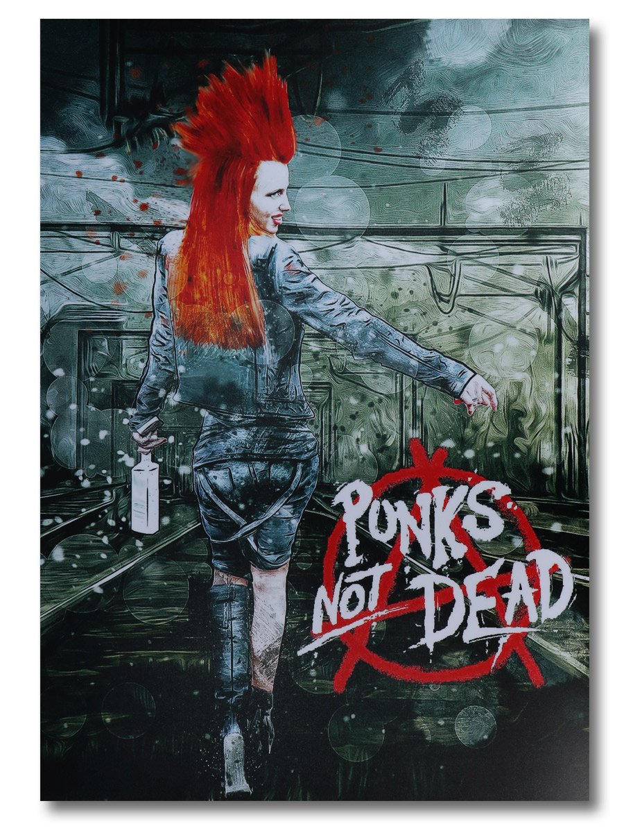 Плакат пластиковый Punks Not Dead - фото 1 - rockbunker.ru