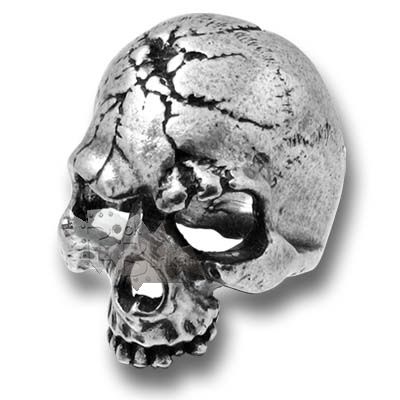 Кольцо Alchemy Gothic R174 Ruination Skull - фото 1 - rockbunker.ru