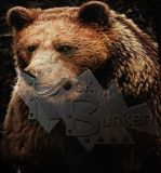Кошелек Медведь - фото 1 - rockbunker.ru