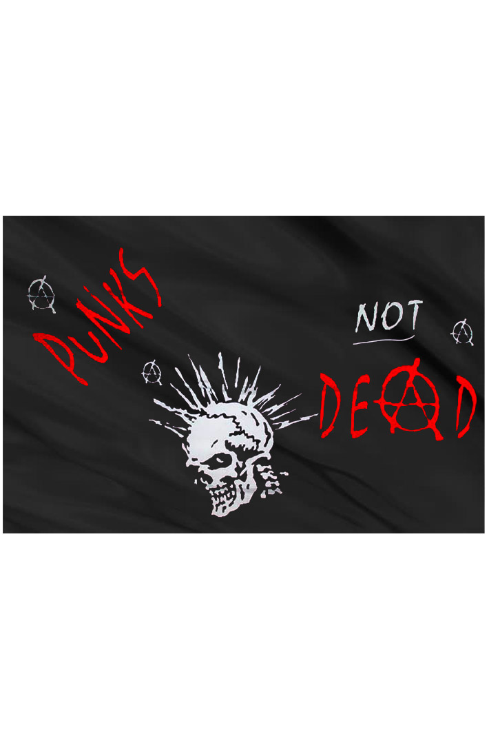 Флаг Punks not Dead - фото 2 - rockbunker.ru