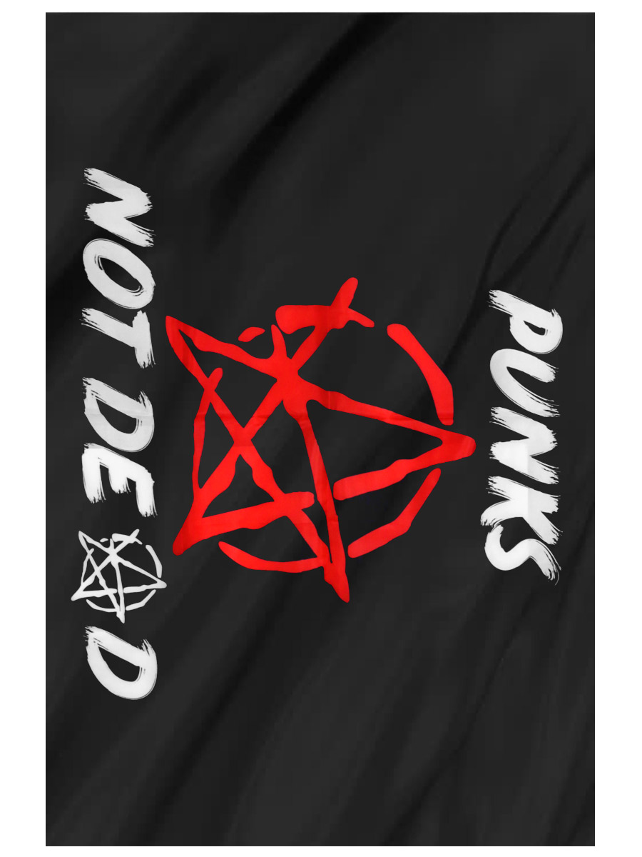 Флаг Punks Not Dead Анархия - фото 1 - rockbunker.ru