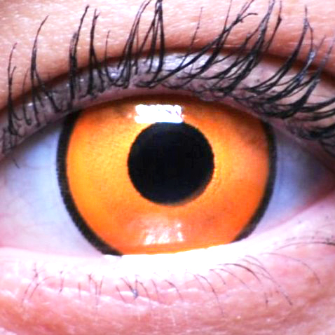 Цветная линза Colors Eye Free Carnival оранжевая корона - фото 1 - rockbunker.ru