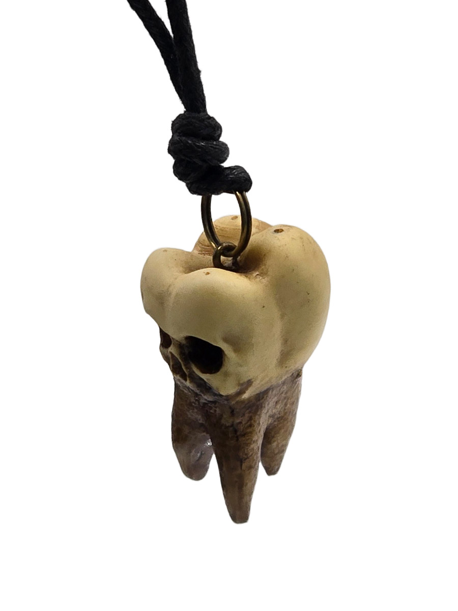 Кулон Зуб Здоровый - фото 2 - rockbunker.ru