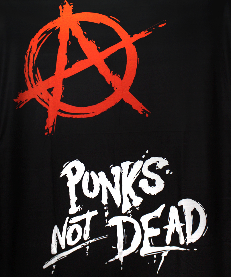 Плед Punks Not Dead - фото 1 - rockbunker.ru