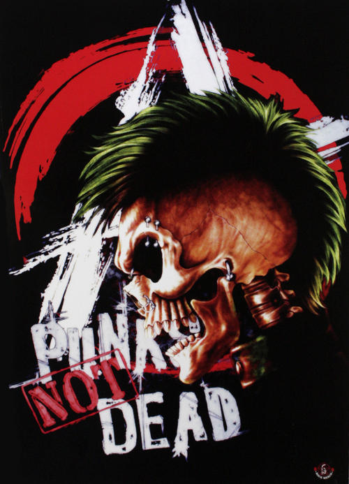 Плакат Punk not Dead - фото 1 - rockbunker.ru