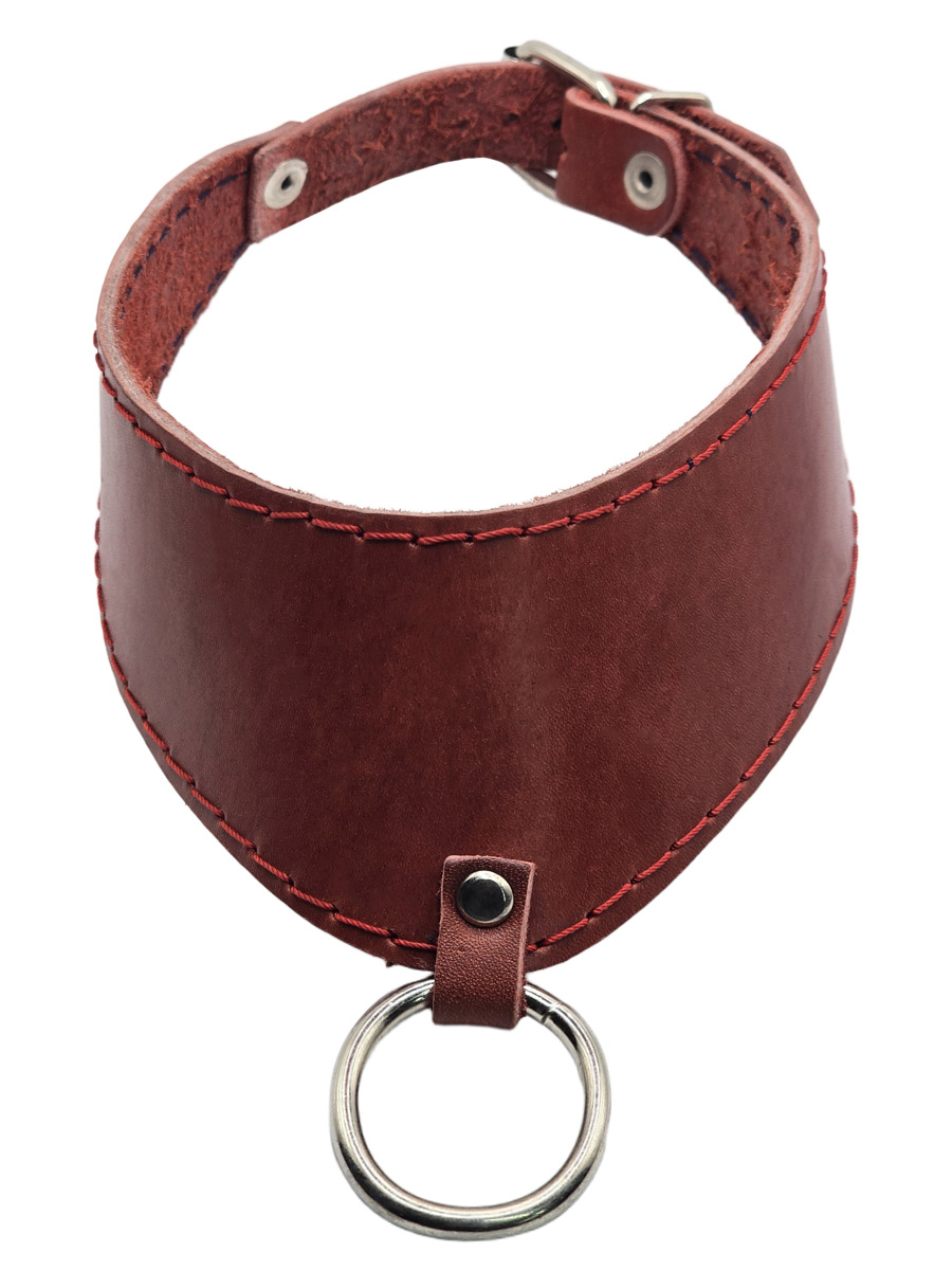 Ошейник кожаный Rebel State  Чайка с кольцом красный - фото 1 - rockbunker.ru