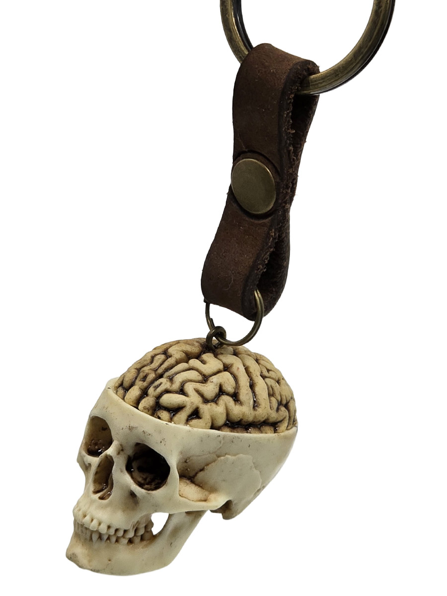 Брелок Череп Мозг - фото 2 - rockbunker.ru
