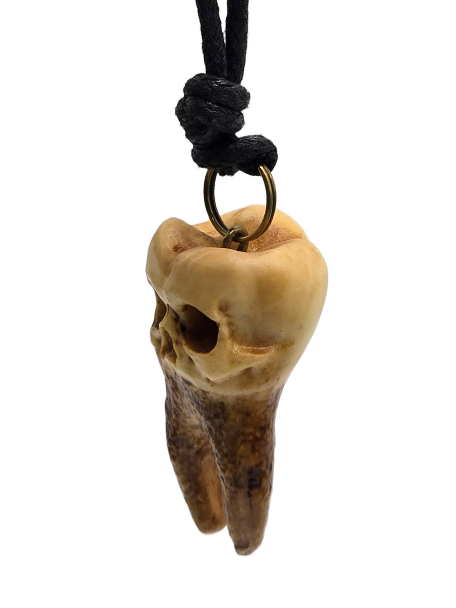 Кулон Зуб два корня - фото 3 - rockbunker.ru