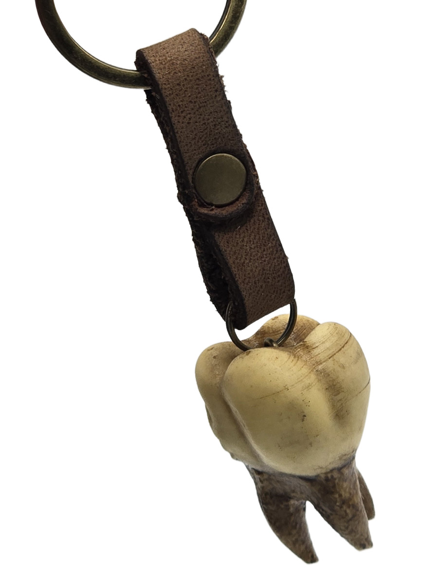 Брелок Зуб Три Корня - фото 2 - rockbunker.ru