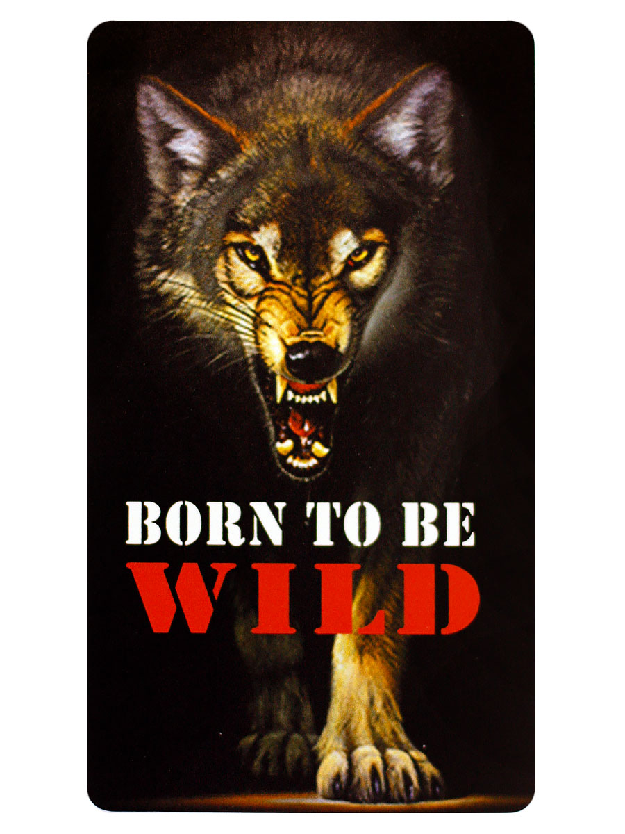 Наклейка-стикер Rock Merch Born To Be Wild - фото 1 - rockbunker.ru