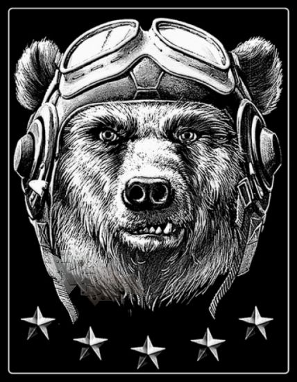 Кошелек Медведь-пилот со звездами - фото 1 - rockbunker.ru