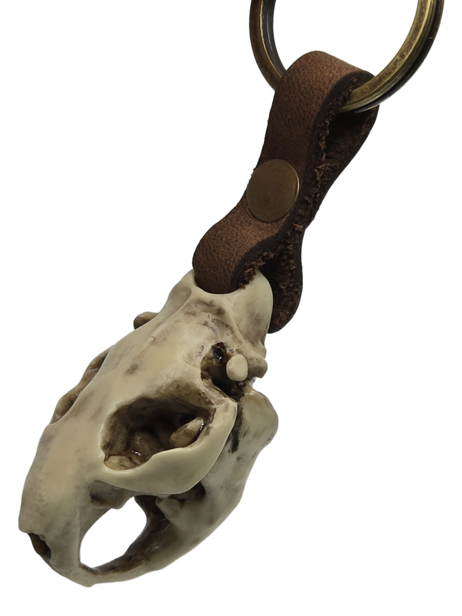 Брелок Череп Бобра - фото 2 - rockbunker.ru