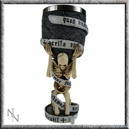 Бокал Nemesis B0174A3 The Truth Goblet - фото 1 - rockbunker.ru