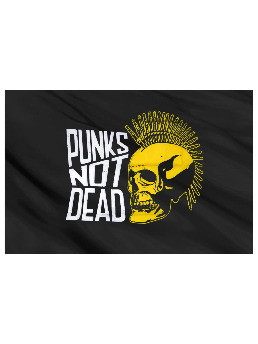 Флаг Punks Not Dead Череп - фото 2 - rockbunker.ru