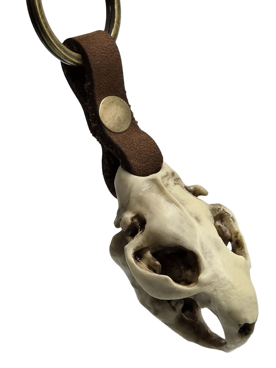Брелок Череп Бобра - фото 1 - rockbunker.ru