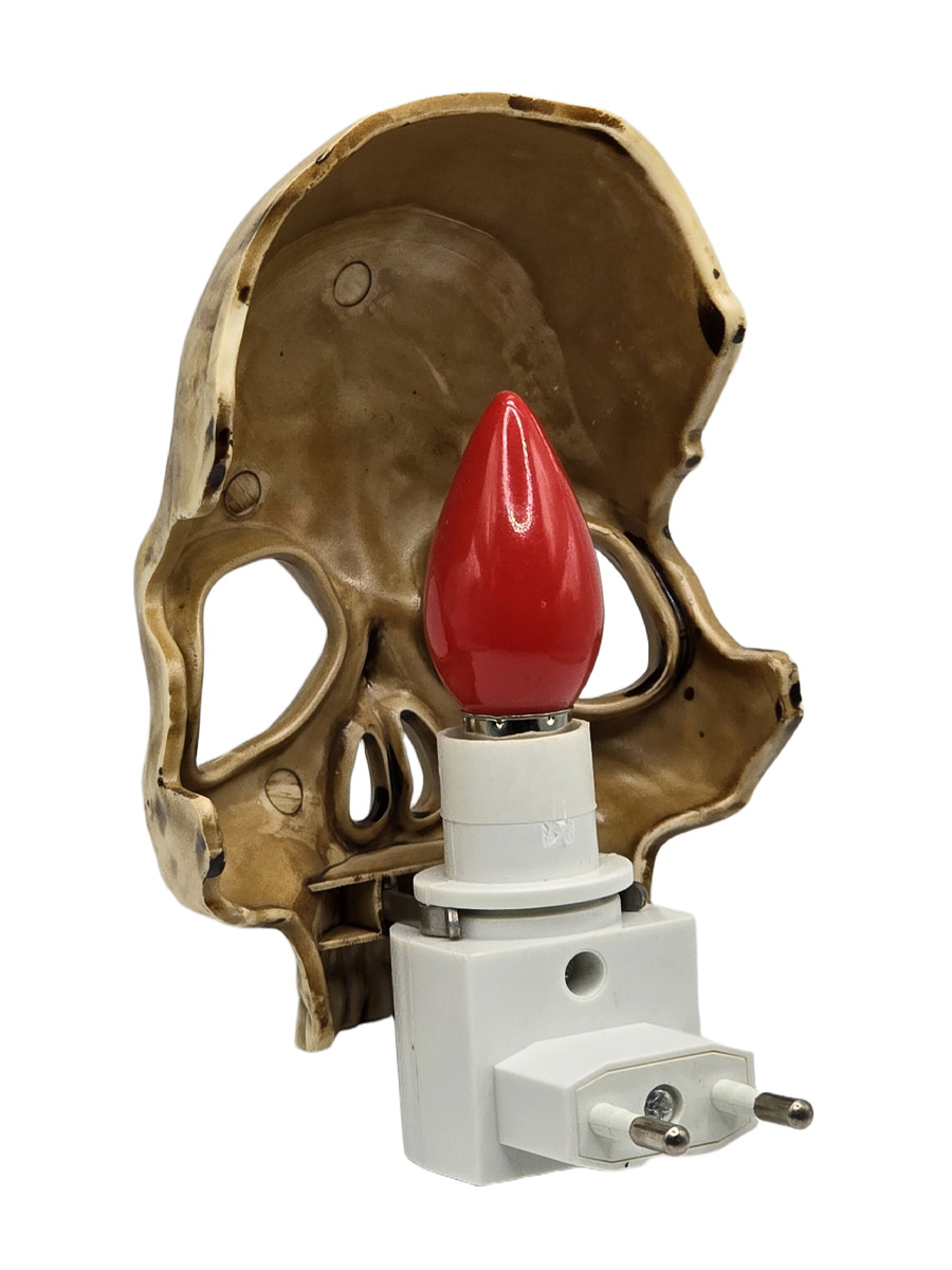 Светильник-ночник Череп Коричневый - фото 2 - rockbunker.ru