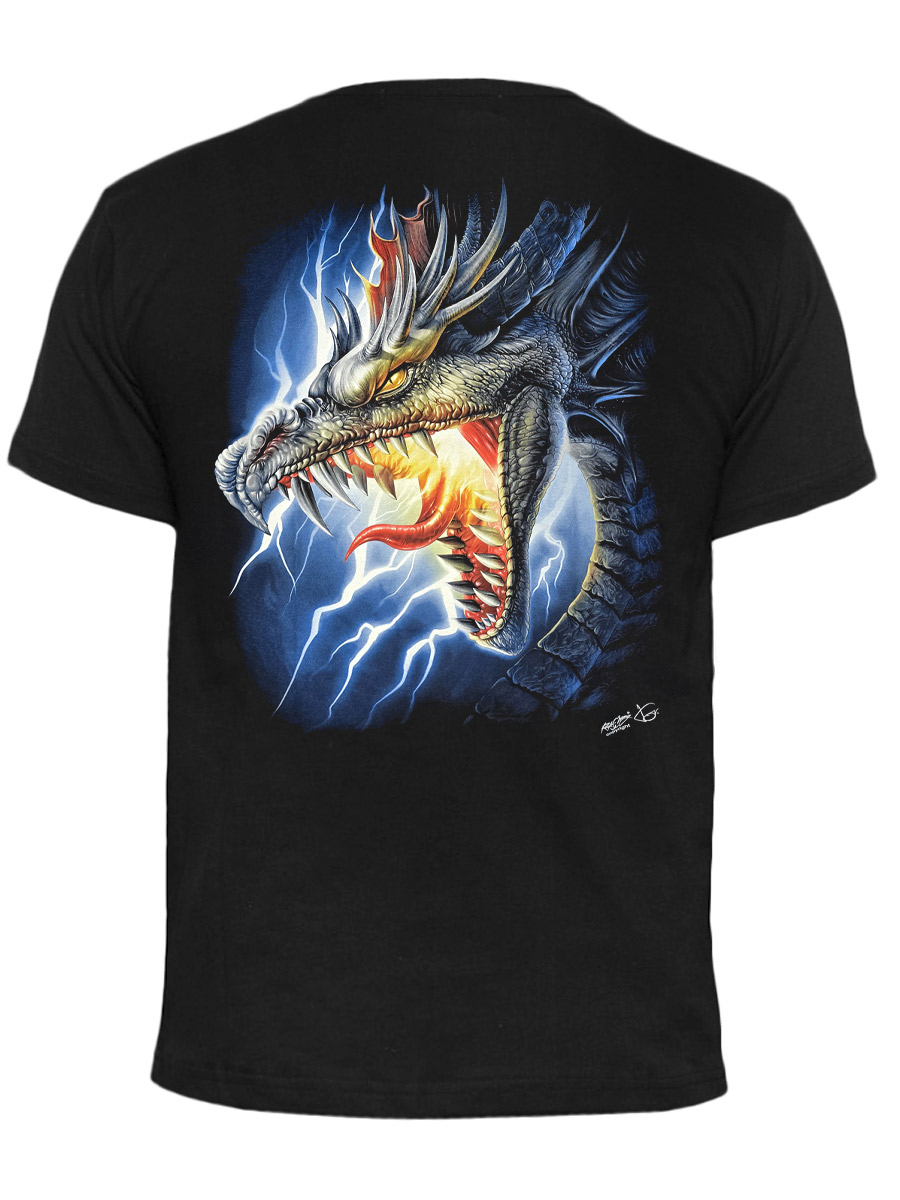 Футболка Rock Chang Furious Dragon - фото 2 - rockbunker.ru