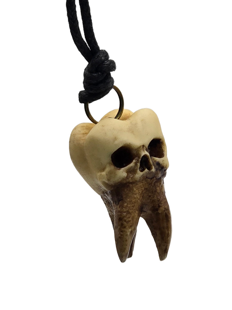 Кулон Зуб Здоровый - фото 1 - rockbunker.ru