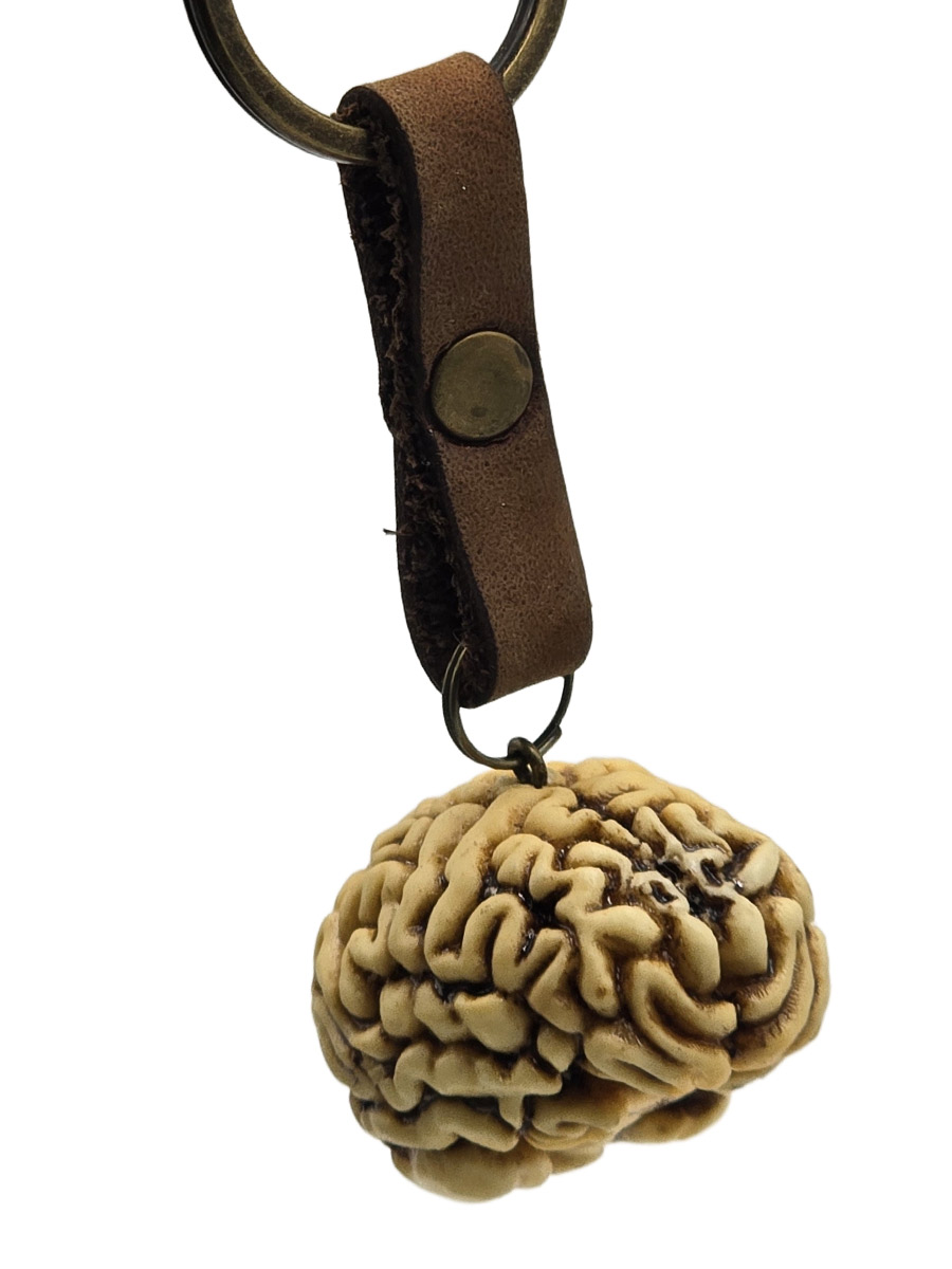 Брелок Мозг - фото 1 - rockbunker.ru