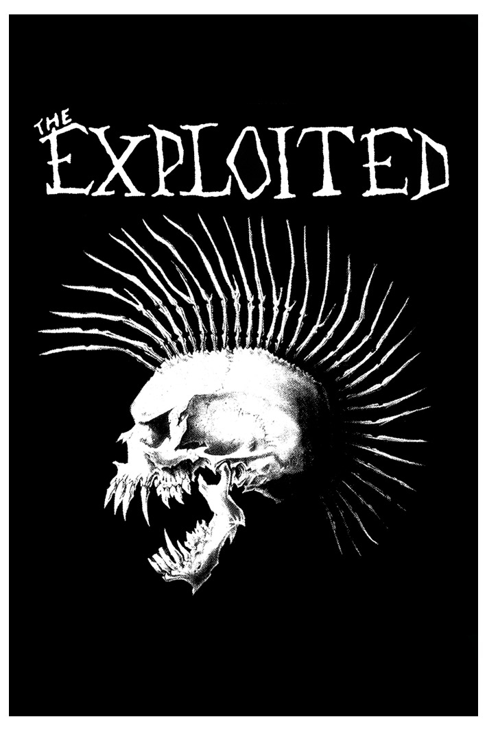 Плед The Exploited - фото 1 - rockbunker.ru