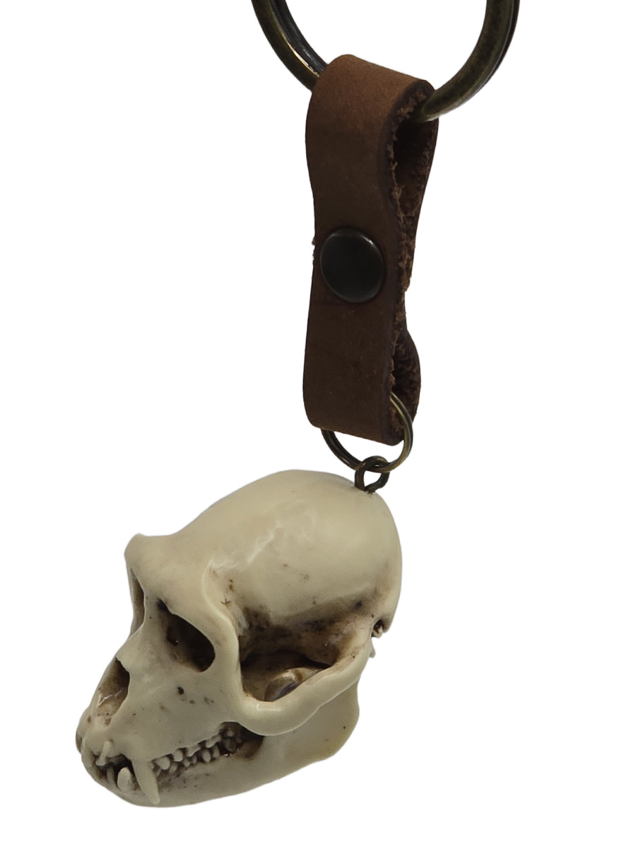 Брелок Череп Макаки - фото 2 - rockbunker.ru