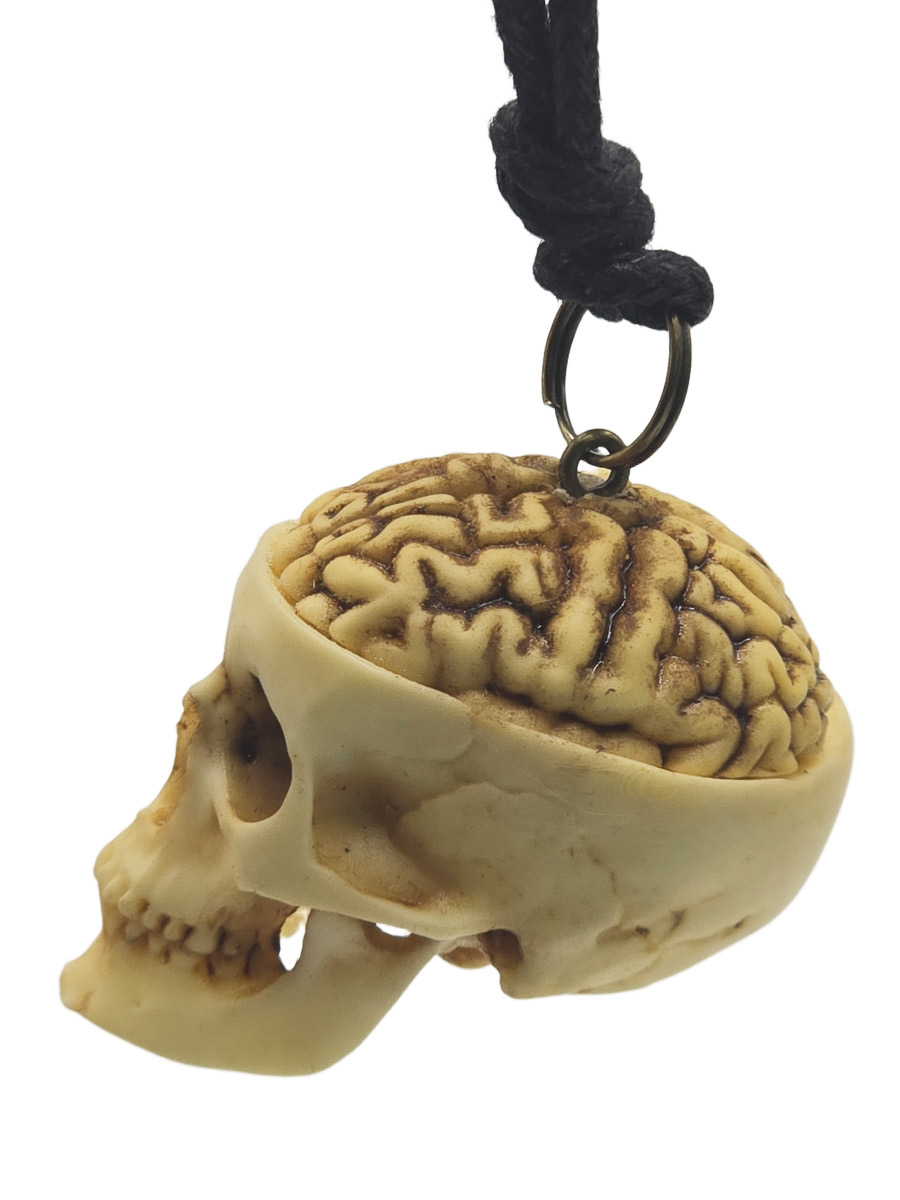 Кулон Череп с мозгом - фото 2 - rockbunker.ru