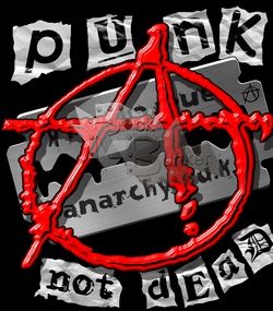 Футболка Punk not Dead - фото 1 - rockbunker.ru