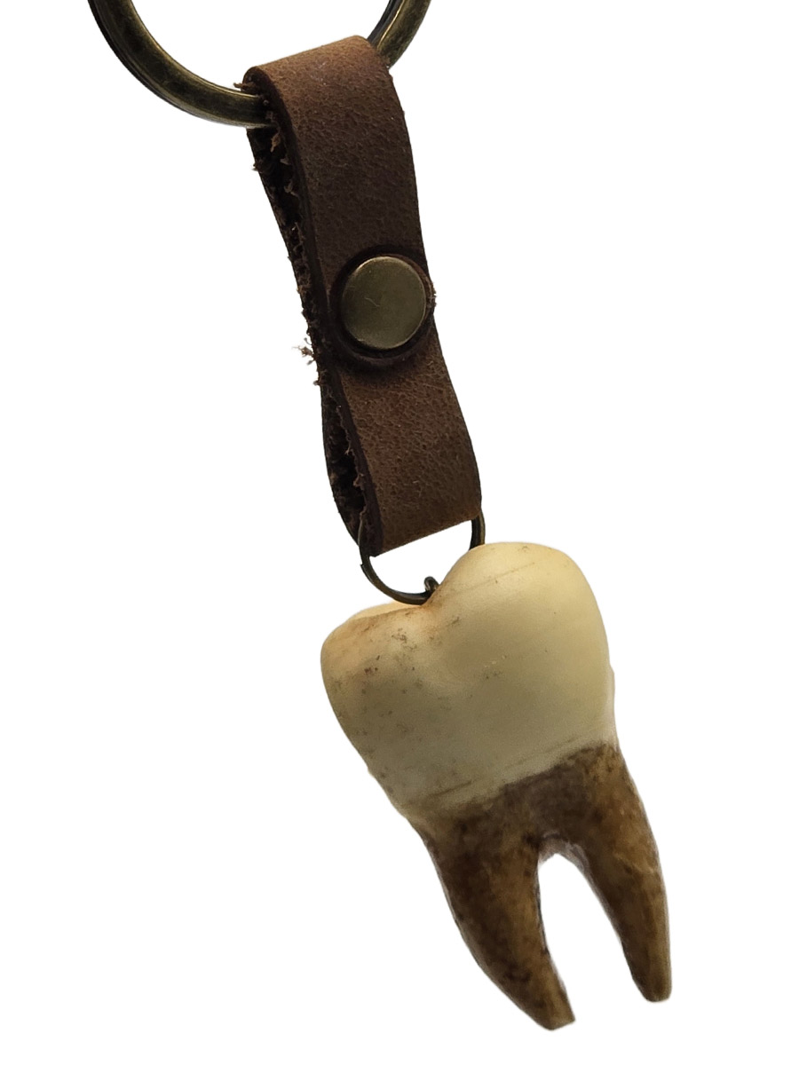 Брелок Зуб Два Корня - фото 2 - rockbunker.ru