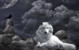 Наклейка-стикер Белый волк - фото 1 - rockbunker.ru