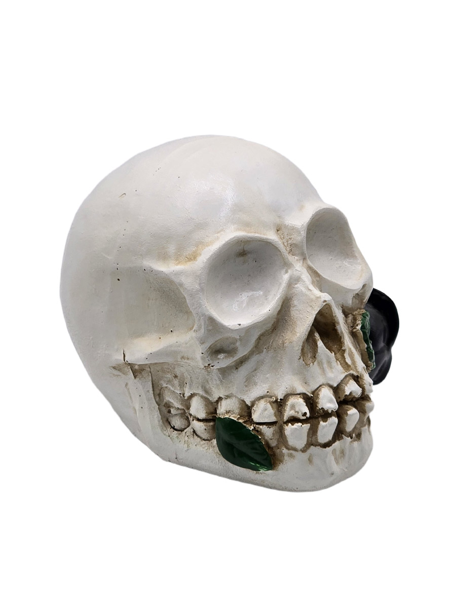 Светильник-ночник Череп Черная роза - фото 1 - rockbunker.ru