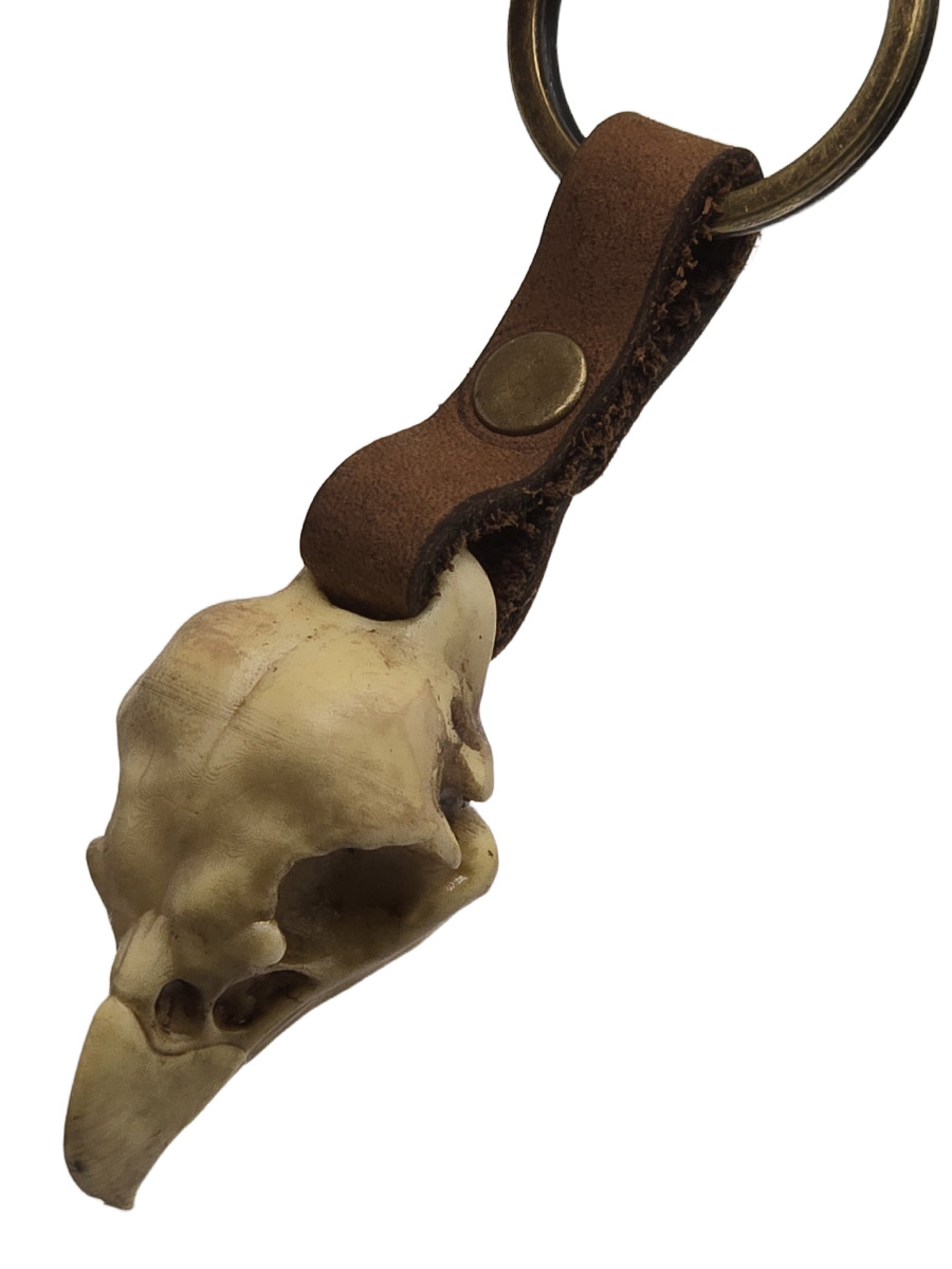 Брелок Череп Орла - фото 2 - rockbunker.ru