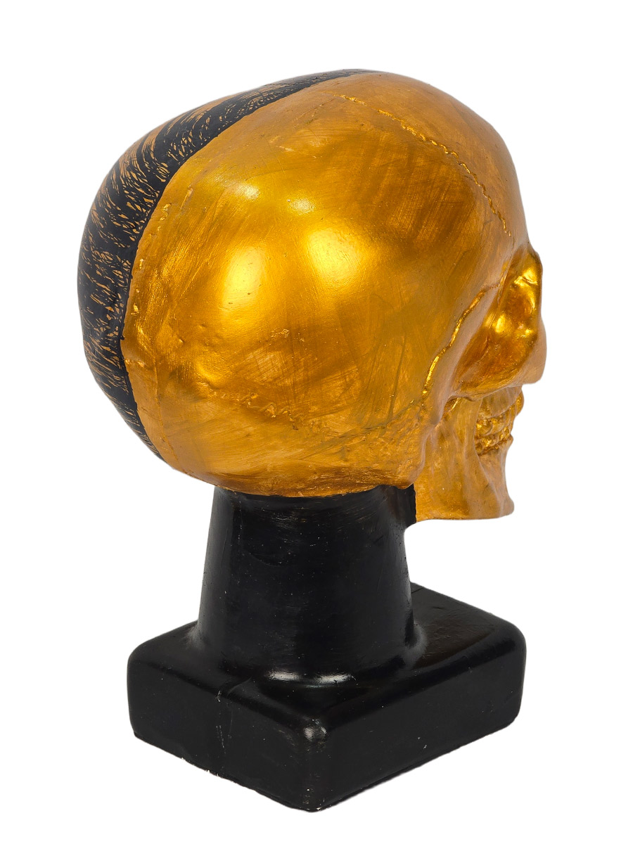 Череп Декоративный Gold - фото 4 - rockbunker.ru