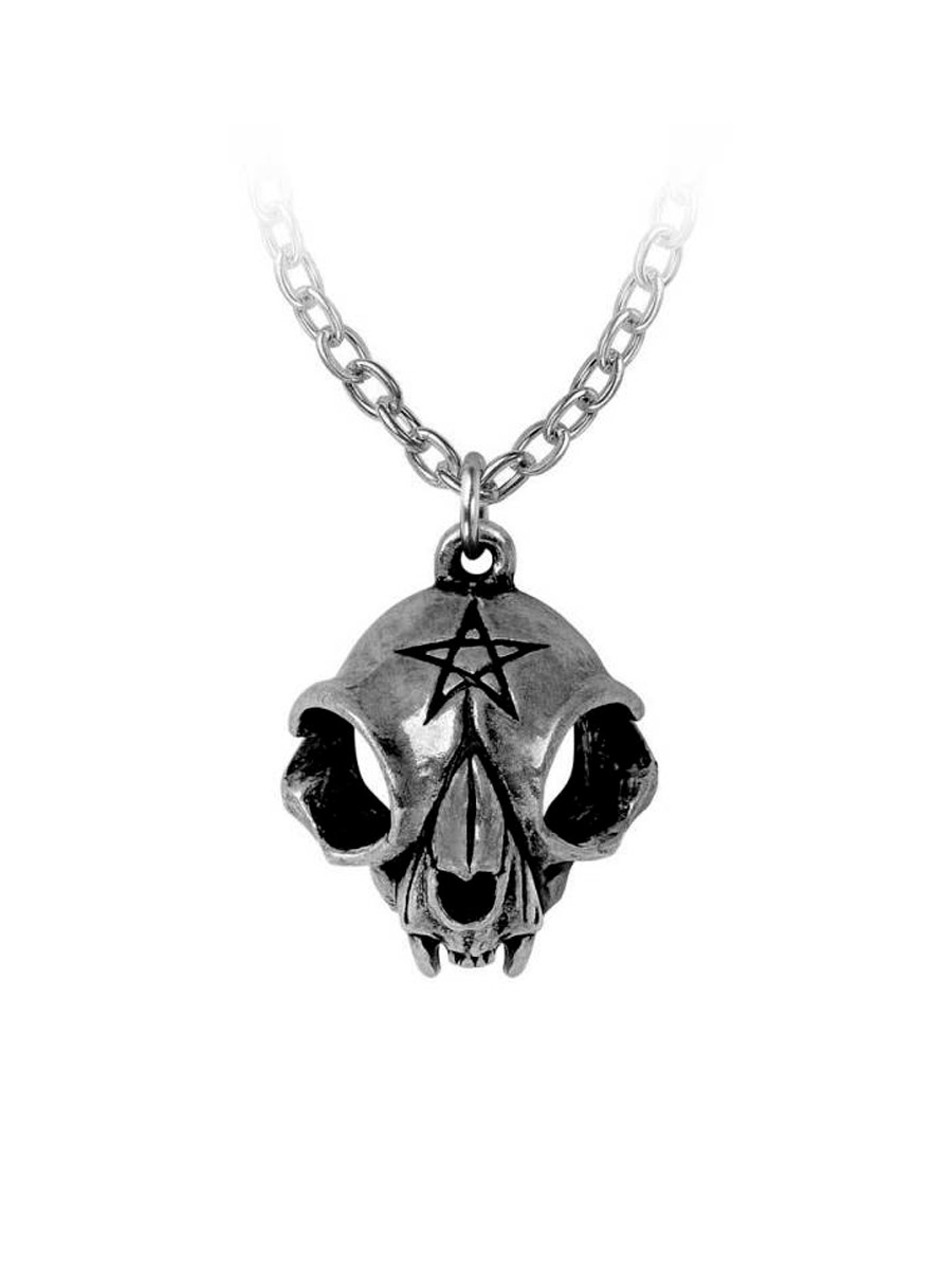 Кулон Alchemy Gothic P938 My Forever Friend - фото 1 - rockbunker.ru