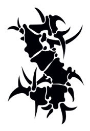 Наклейка-стикер Sepultura логотип - фото 1 - rockbunker.ru