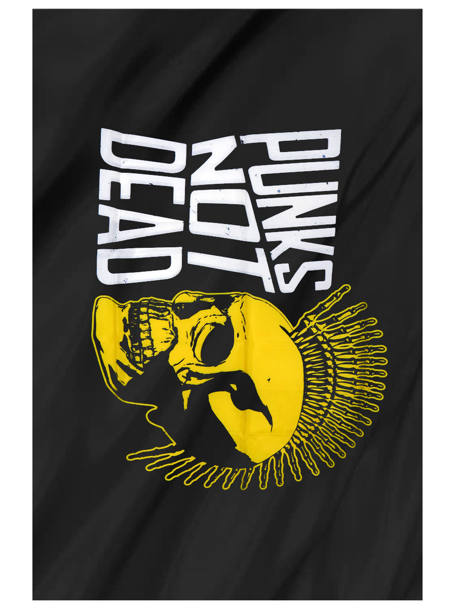 Флаг Punks Not Dead Череп - фото 1 - rockbunker.ru