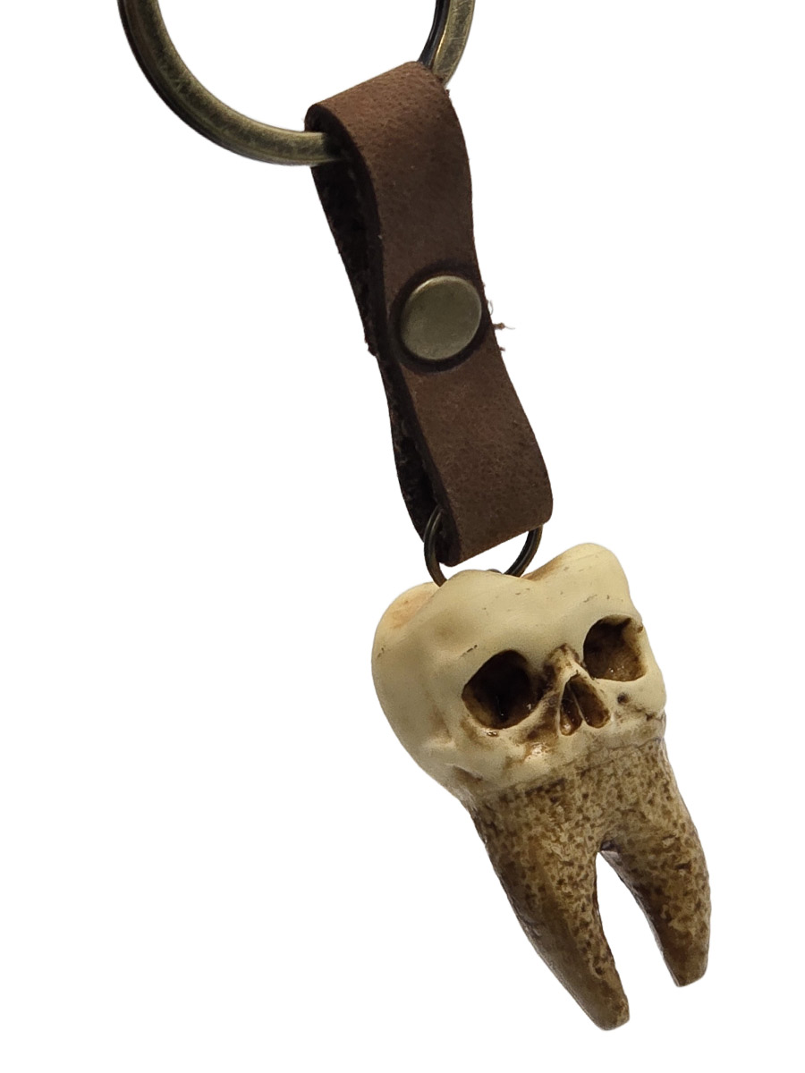 Брелок Зуб Два Корня - фото 1 - rockbunker.ru