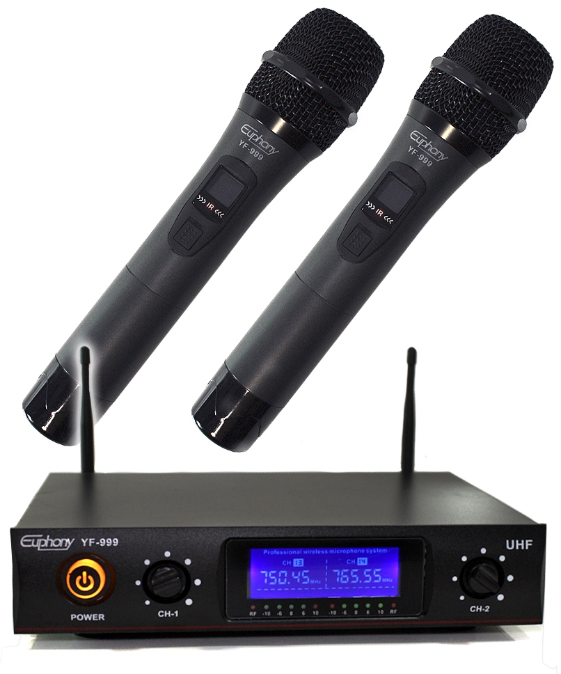 Радиосистема Euphony YF-999 с 2мя микрофонами - фото 1 - rockbunker.ru