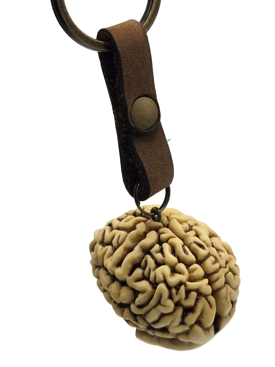 Брелок Мозг - фото 2 - rockbunker.ru