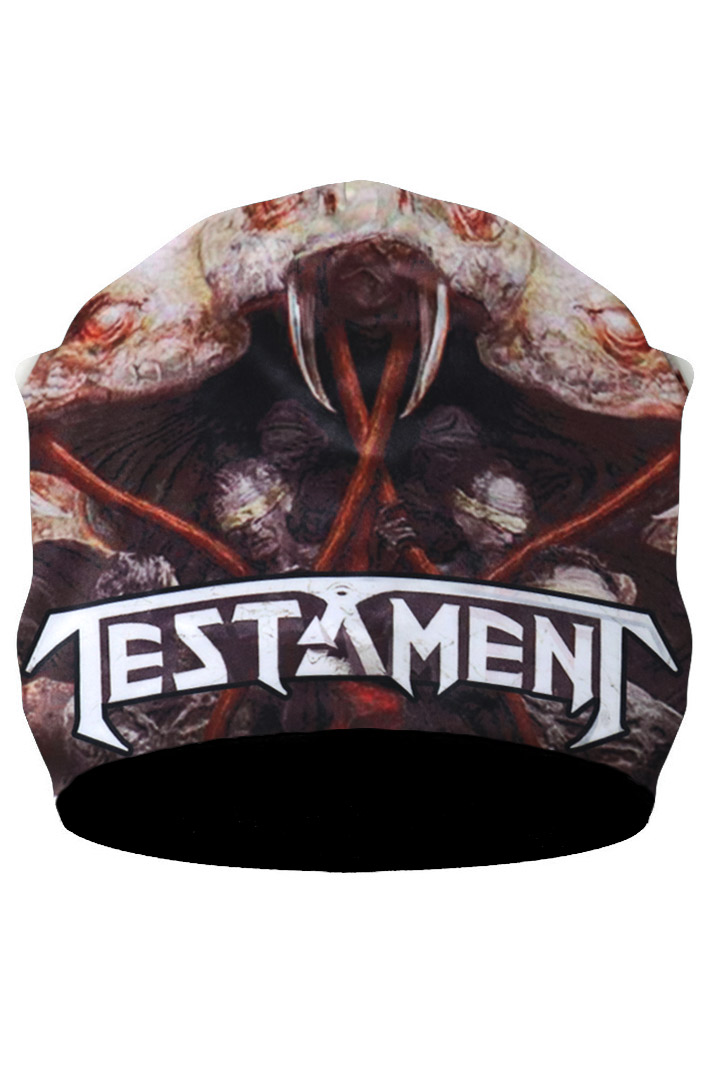 Шапка Testament - фото 1 - rockbunker.ru