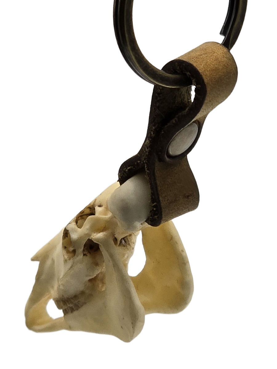 Брелок Череп Лошади - фото 2 - rockbunker.ru