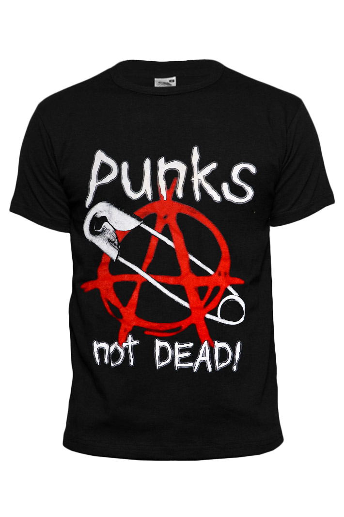 Футболка Punks not Dead - фото 1 - rockbunker.ru