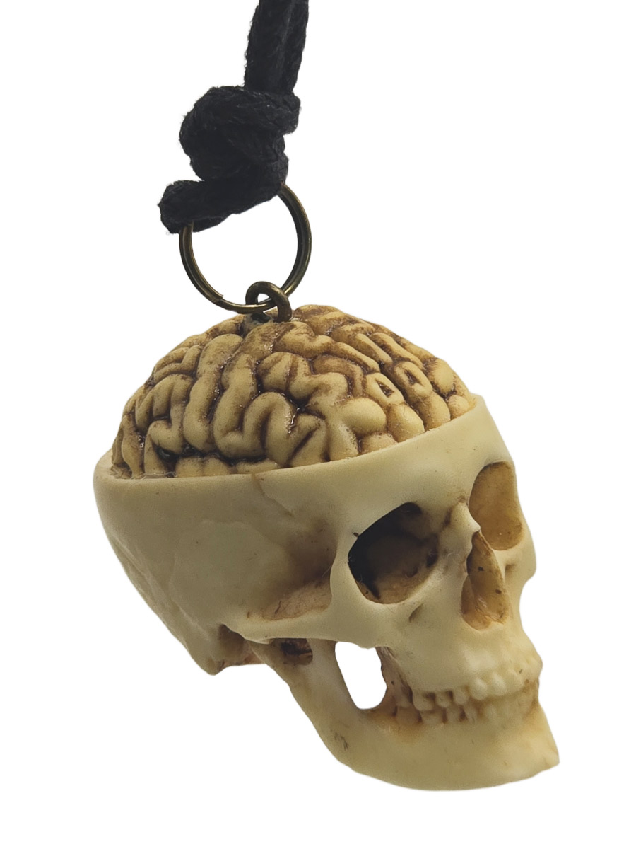 Кулон Череп с мозгом - фото 1 - rockbunker.ru