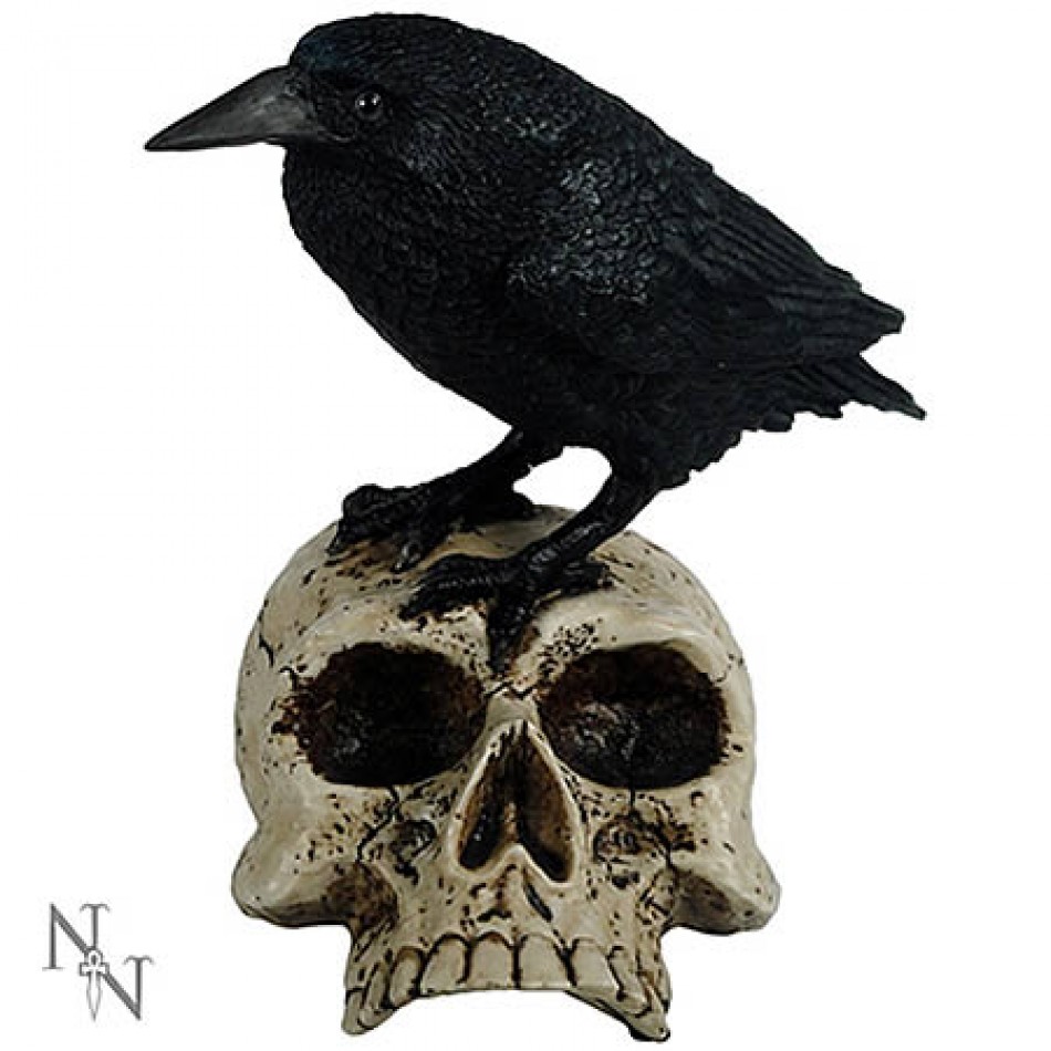 Статуэтка Nemesis NEM5256 Raven On Skull - фото 1 - rockbunker.ru